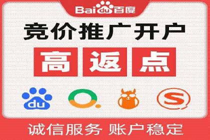 网络推广竞价策略解析与应用案例